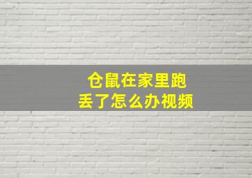 仓鼠在家里跑丢了怎么办视频