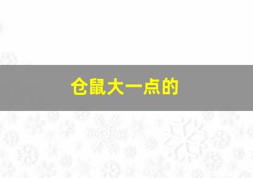 仓鼠大一点的