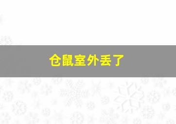 仓鼠室外丢了