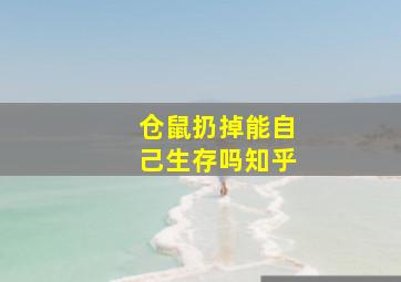 仓鼠扔掉能自己生存吗知乎