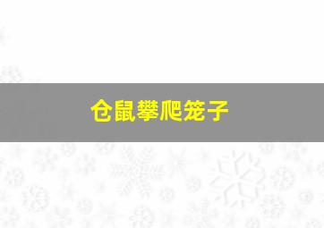 仓鼠攀爬笼子