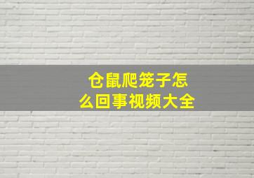 仓鼠爬笼子怎么回事视频大全