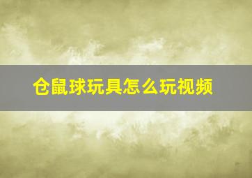 仓鼠球玩具怎么玩视频