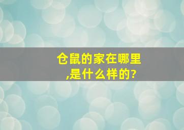 仓鼠的家在哪里,是什么样的?