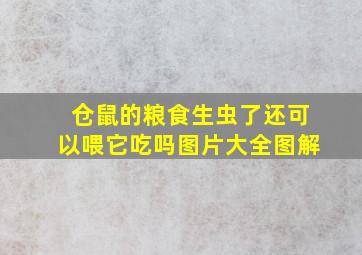 仓鼠的粮食生虫了还可以喂它吃吗图片大全图解