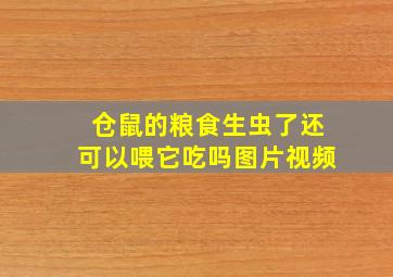 仓鼠的粮食生虫了还可以喂它吃吗图片视频