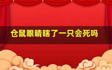 仓鼠眼睛瞎了一只会死吗