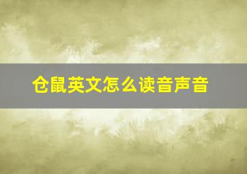 仓鼠英文怎么读音声音