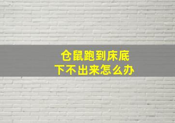 仓鼠跑到床底下不出来怎么办