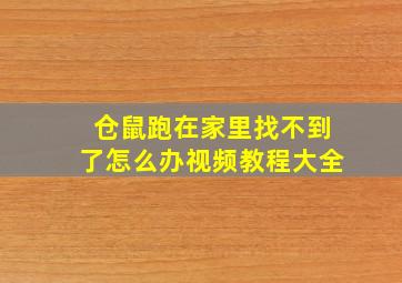 仓鼠跑在家里找不到了怎么办视频教程大全