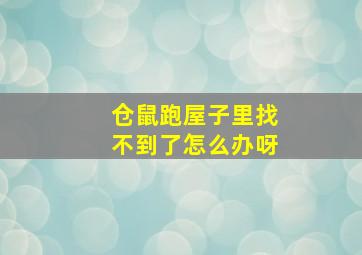 仓鼠跑屋子里找不到了怎么办呀