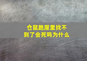 仓鼠跑屋里找不到了会死吗为什么