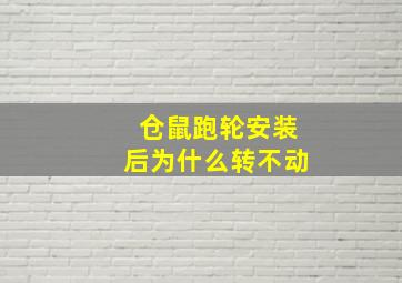 仓鼠跑轮安装后为什么转不动