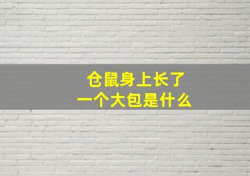 仓鼠身上长了一个大包是什么