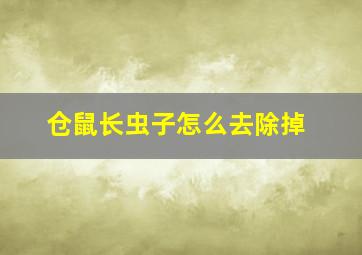 仓鼠长虫子怎么去除掉