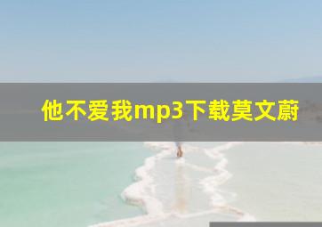 他不爱我mp3下载莫文蔚