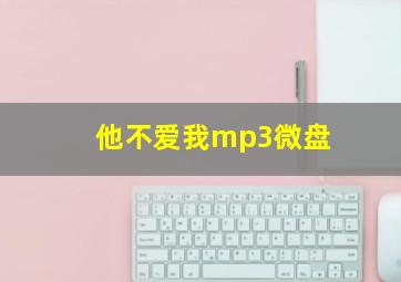 他不爱我mp3微盘