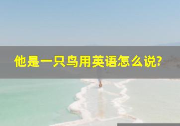 他是一只鸟用英语怎么说?