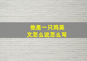 他是一只鸡英文怎么说怎么写