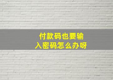 付款码也要输入密码怎么办呀