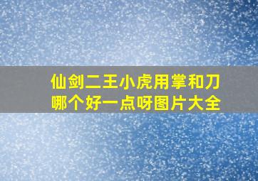 仙剑二王小虎用掌和刀哪个好一点呀图片大全