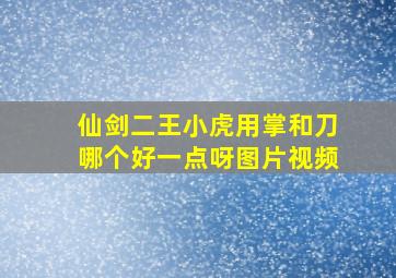 仙剑二王小虎用掌和刀哪个好一点呀图片视频