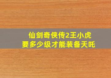 仙剑奇侠传2王小虎要多少级才能装备天吒