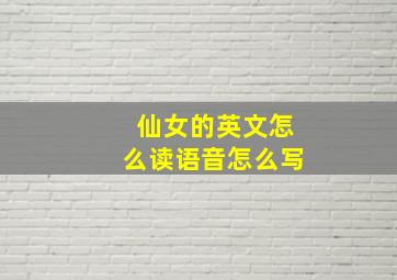 仙女的英文怎么读语音怎么写