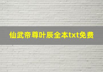 仙武帝尊叶辰全本txt免费