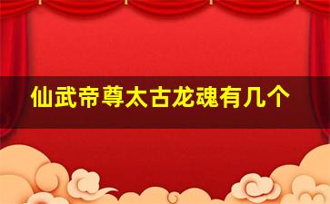 仙武帝尊太古龙魂有几个