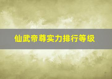 仙武帝尊实力排行等级