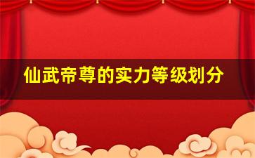 仙武帝尊的实力等级划分