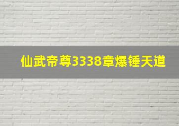 仙武帝尊3338章爆锤天道