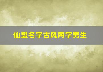 仙盟名字古风两字男生