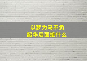 以梦为马不负韶华后面接什么