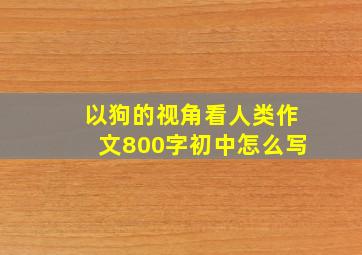 以狗的视角看人类作文800字初中怎么写