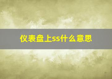 仪表盘上ss什么意思