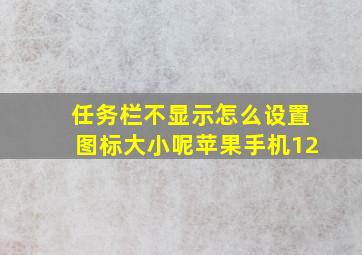 任务栏不显示怎么设置图标大小呢苹果手机12