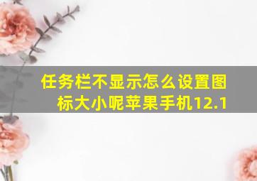 任务栏不显示怎么设置图标大小呢苹果手机12.1