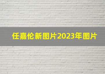 任嘉伦新图片2023年图片