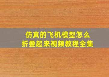 仿真的飞机模型怎么折叠起来视频教程全集