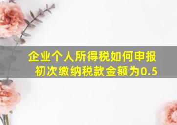 企业个人所得税如何申报初次缴纳税款金额为0.5