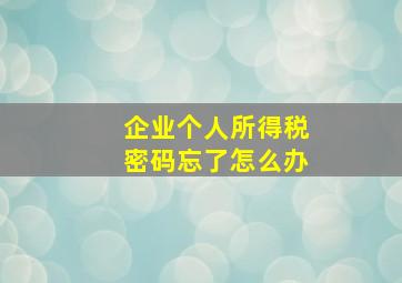 企业个人所得税密码忘了怎么办