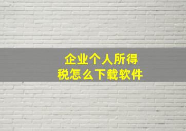 企业个人所得税怎么下载软件