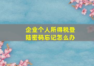 企业个人所得税登陆密码忘记怎么办