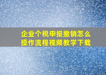 企业个税申报撤销怎么操作流程视频教学下载