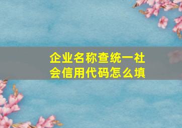 企业名称查统一社会信用代码怎么填