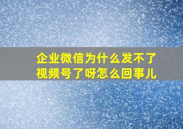 企业微信为什么发不了视频号了呀怎么回事儿