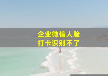 企业微信人脸打卡识别不了