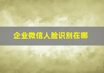 企业微信人脸识别在哪